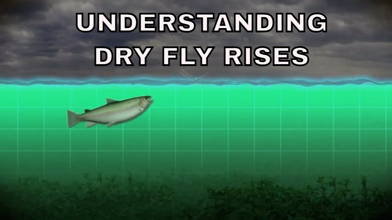 Узнаём о взлетах Dry Fly | Том Розенбауэр