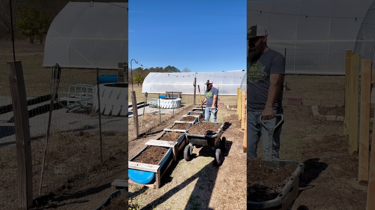I Found the Easiest Compost System!