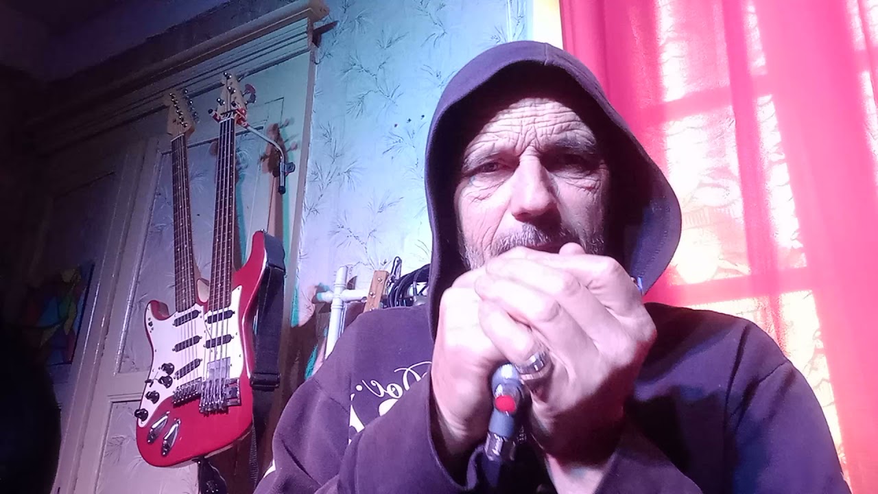 mistral gagnant de Renaud a l' harmonica