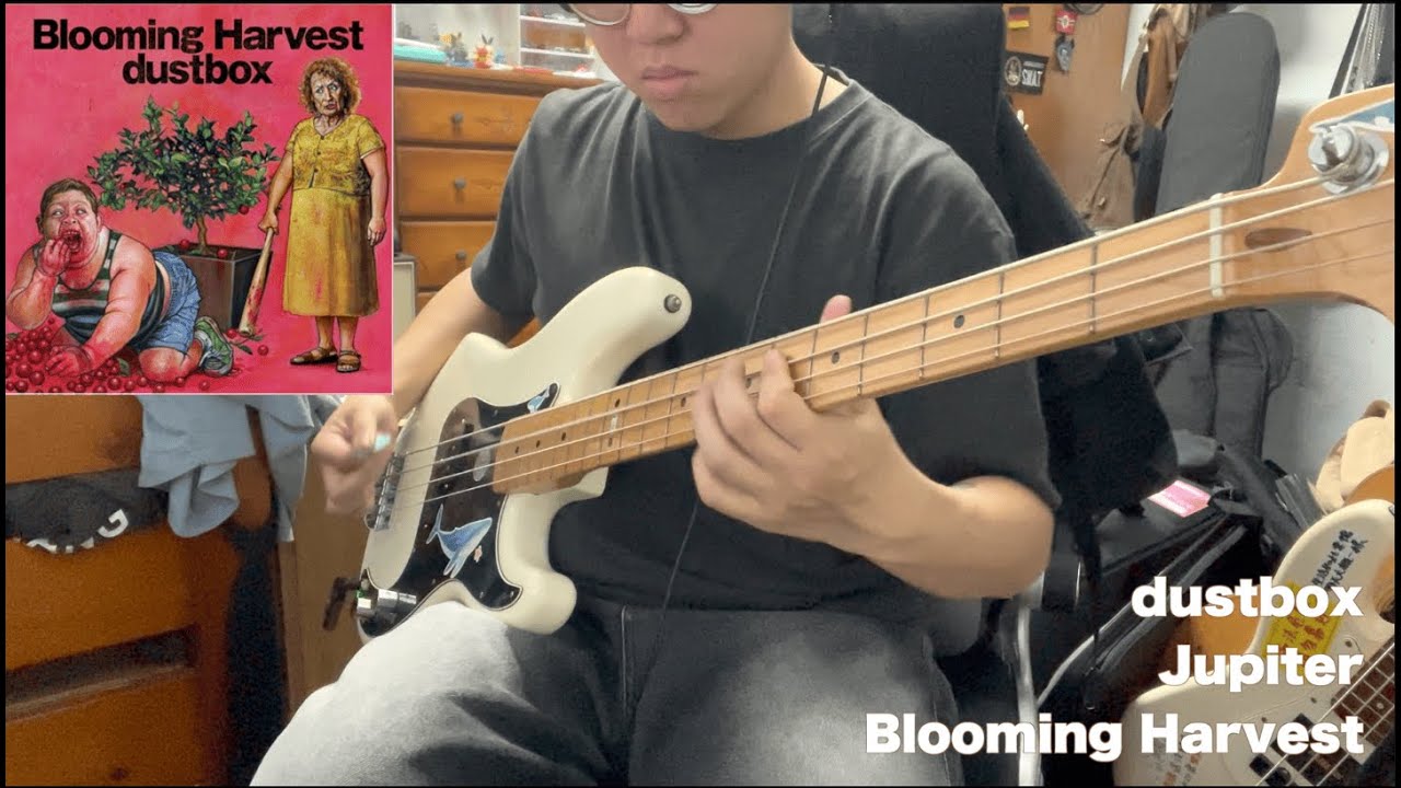 dustbox - Jupiter (Bass Cover)