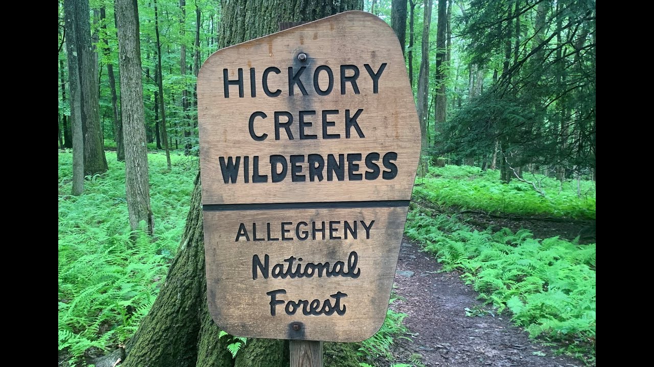 Hickory Creek Wilderness