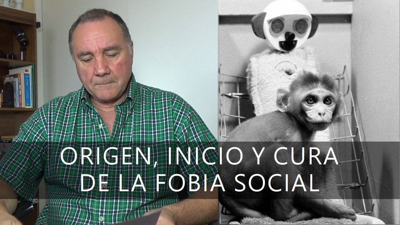 ORIGEN, INICIO Y CURA DE LA FOBIA SOCIAL
