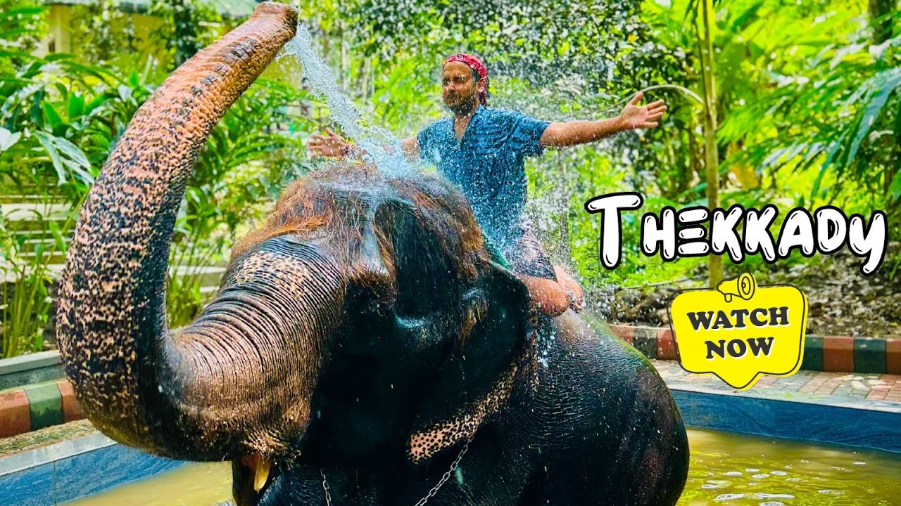 Elephant Junction Thekkady - All You Need To Know BEFORE You Visit | Thekkady Tourist Places
