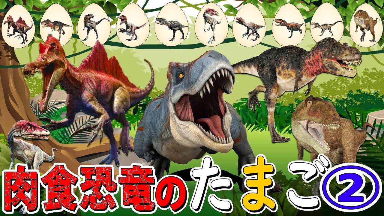 肉食恐竜🦖のたまご🥚第2弾！何が生まれるかな❓🦖🦕ジュラシックワールドにも登場する恐竜がいっぱい‼️メガロサウルス・イクチオベナトル・ユタラプトル・カルカロドントサウルス