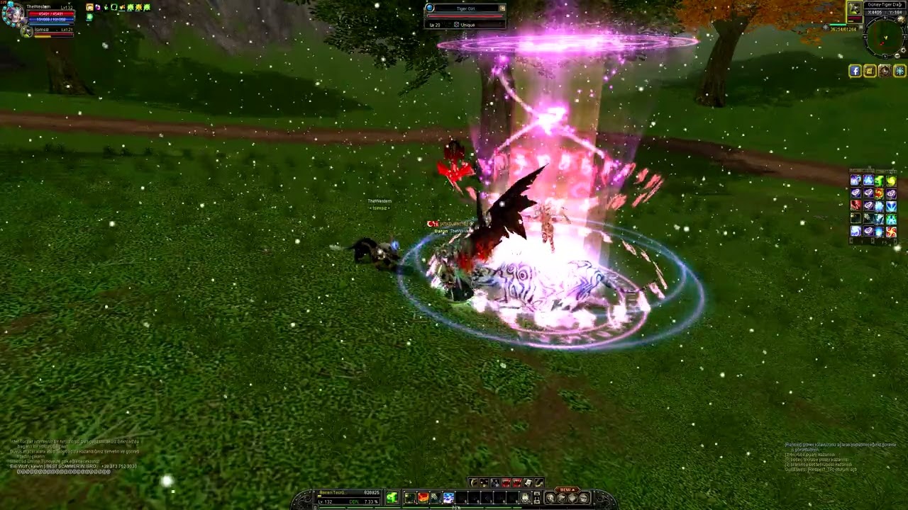SİLKROAD ONLİNE Thanatos TheWestern  tiger girl