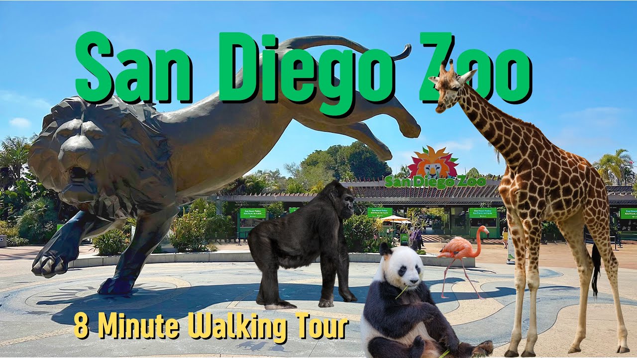 San Diego Zoo Walking Tour