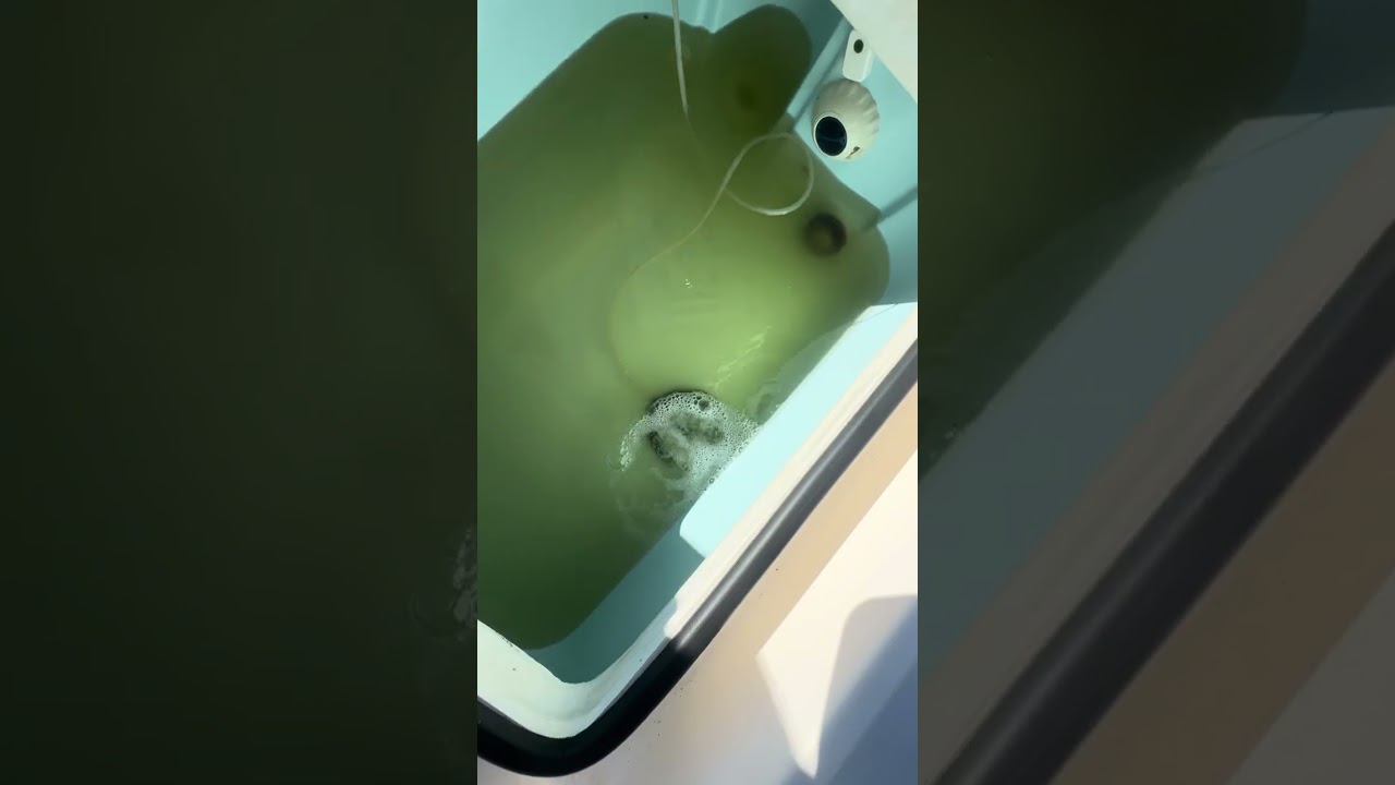 Maverick Sea Trial 1