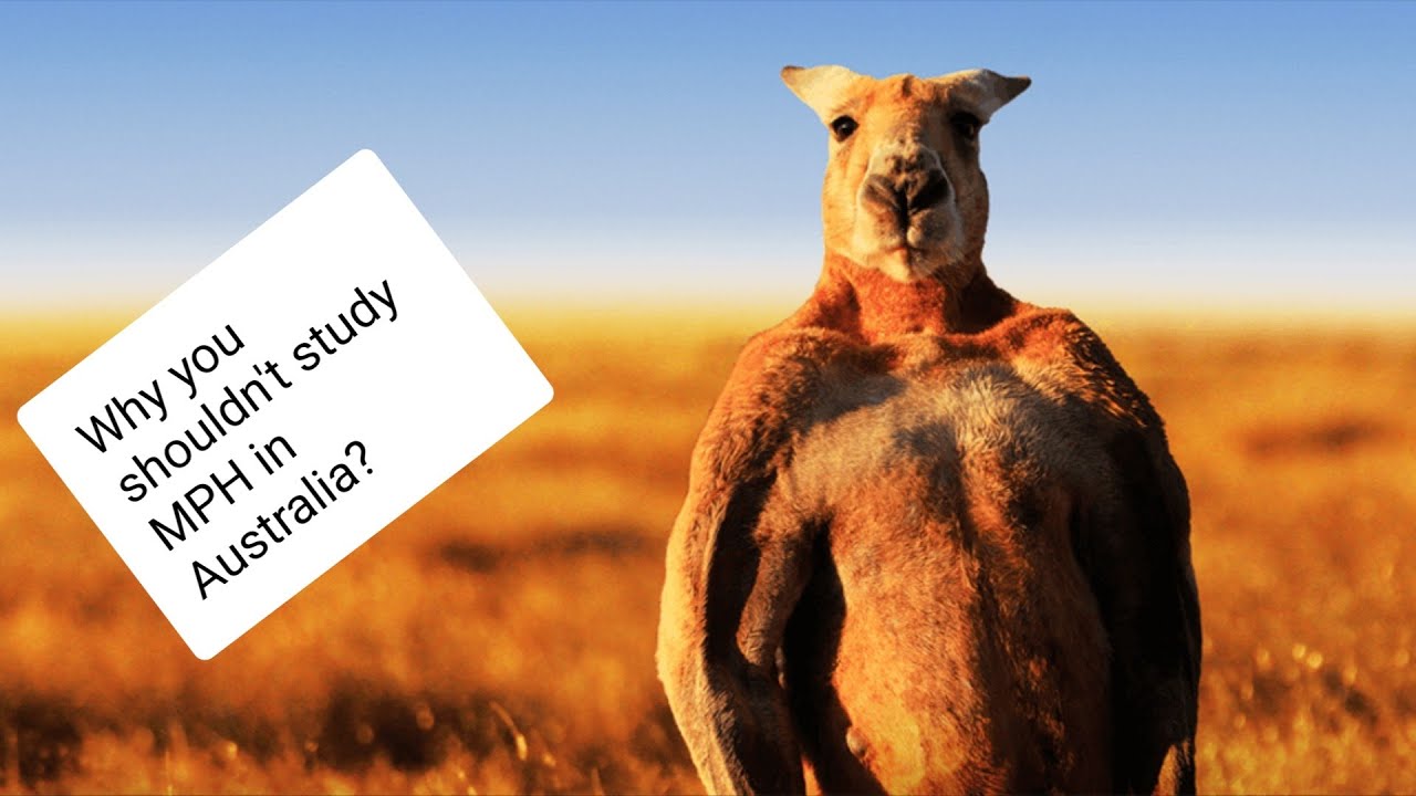 Why you shouldn't do a Master of Public Health in Australia!