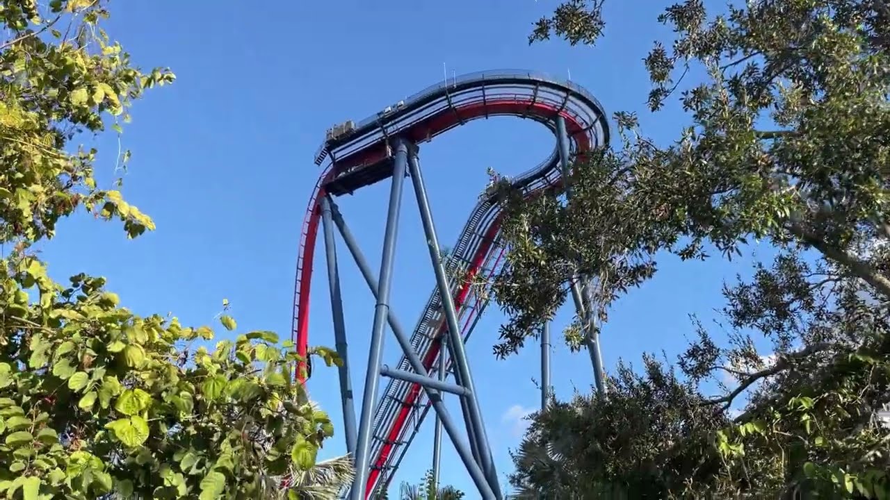 Busch Gardens Tampa Sheikra Off-Ride Footage (No Copyright)