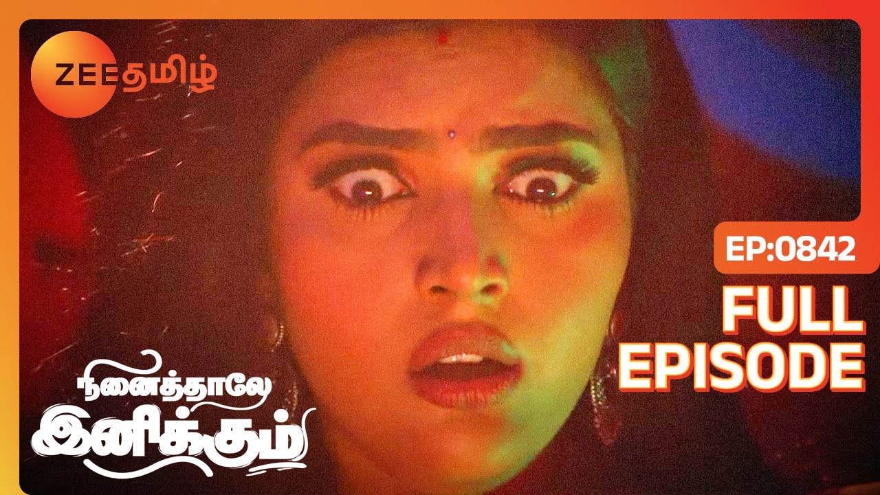 Bommi யின் பற்றிய ரகசியத்தை உடைக்கும் Rudra ஆவி | Ninaithale Inikkum | Full Ep 842 | Zee Tamil