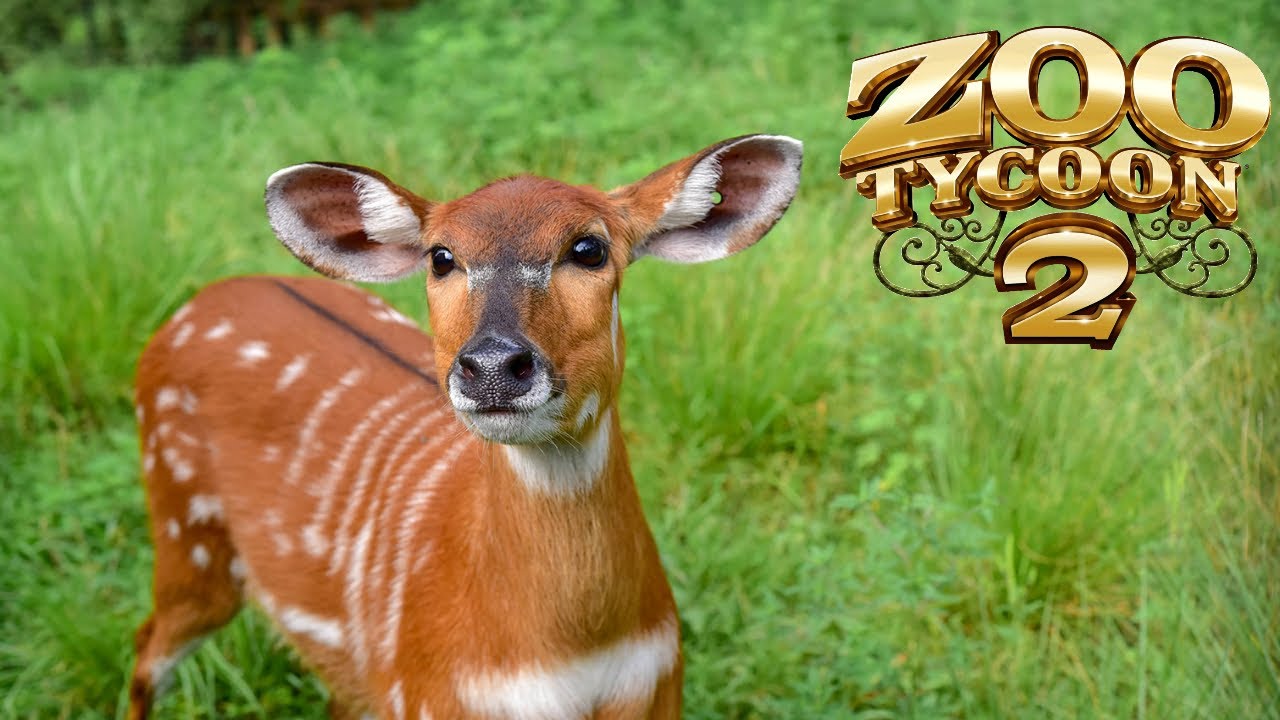 Zoo Tycoon 2 - Sitatunga Exhibit Speedbuild