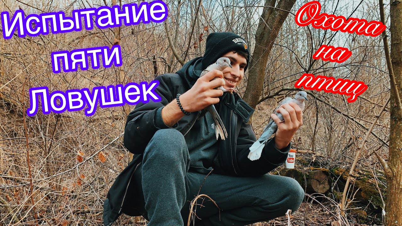 Испытание пяти ловушек на птиц. Охота на кольчатых горлиц разнообразными ловушками. Поход в лес!!!