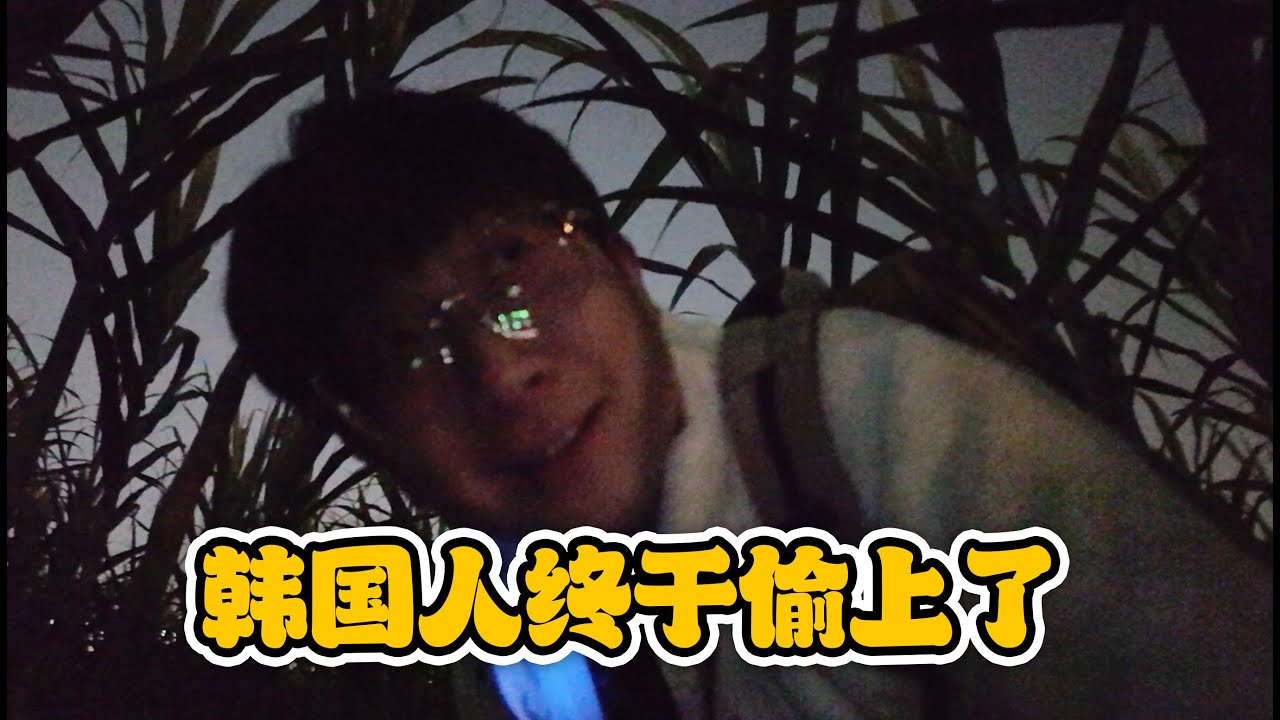 韓國人在中國終於偷上了 【四川成都】