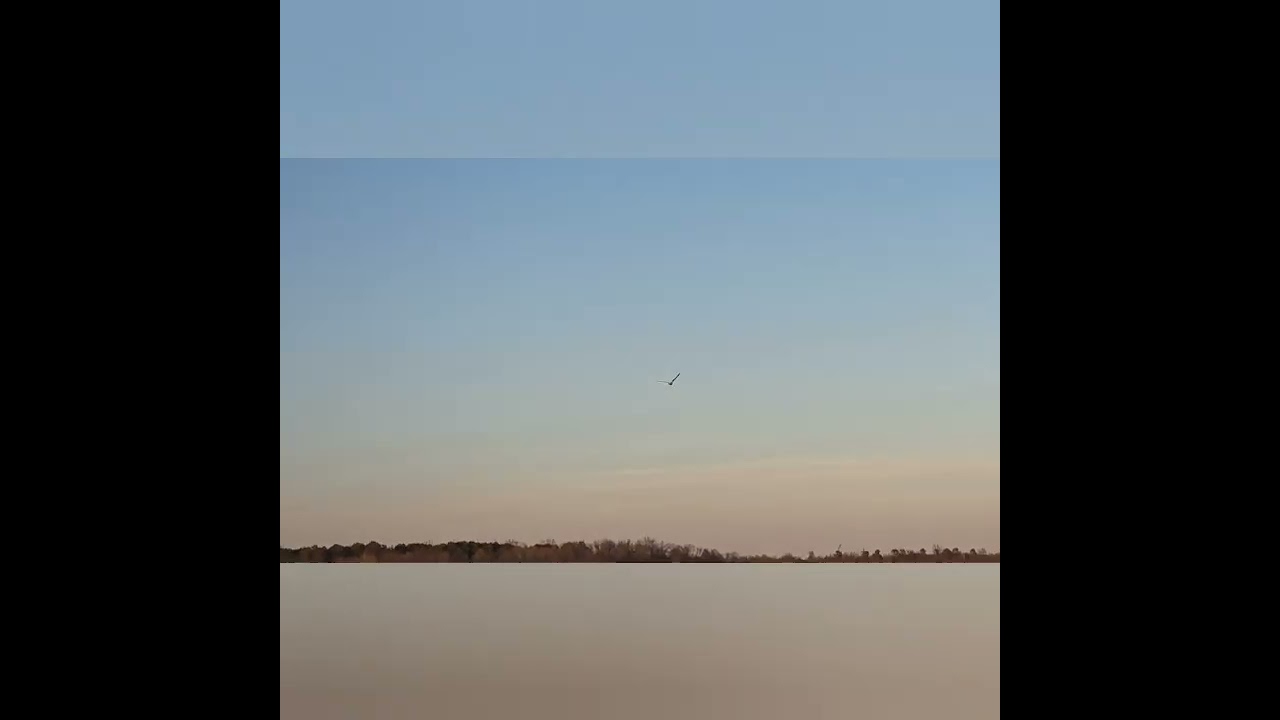 New Joe Laurence  version of The Weaver 