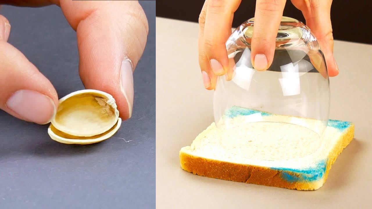 Schimmliges Brot? 36 BRILLANTE TRICKS MIT ESSENSRESTEN | GARTEN HACKS | LEBENSMITTEL HALTBAR MACHEN