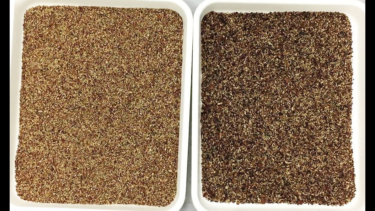 Satake EVOLUTION MIR Sorting Pecan Pieces