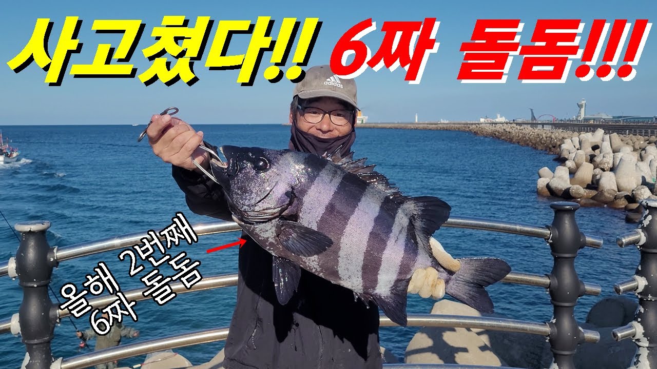 사고쳤다! 돌돔 찌낚시로 6짜 돌돔을 또 잡았습니다..초대박!