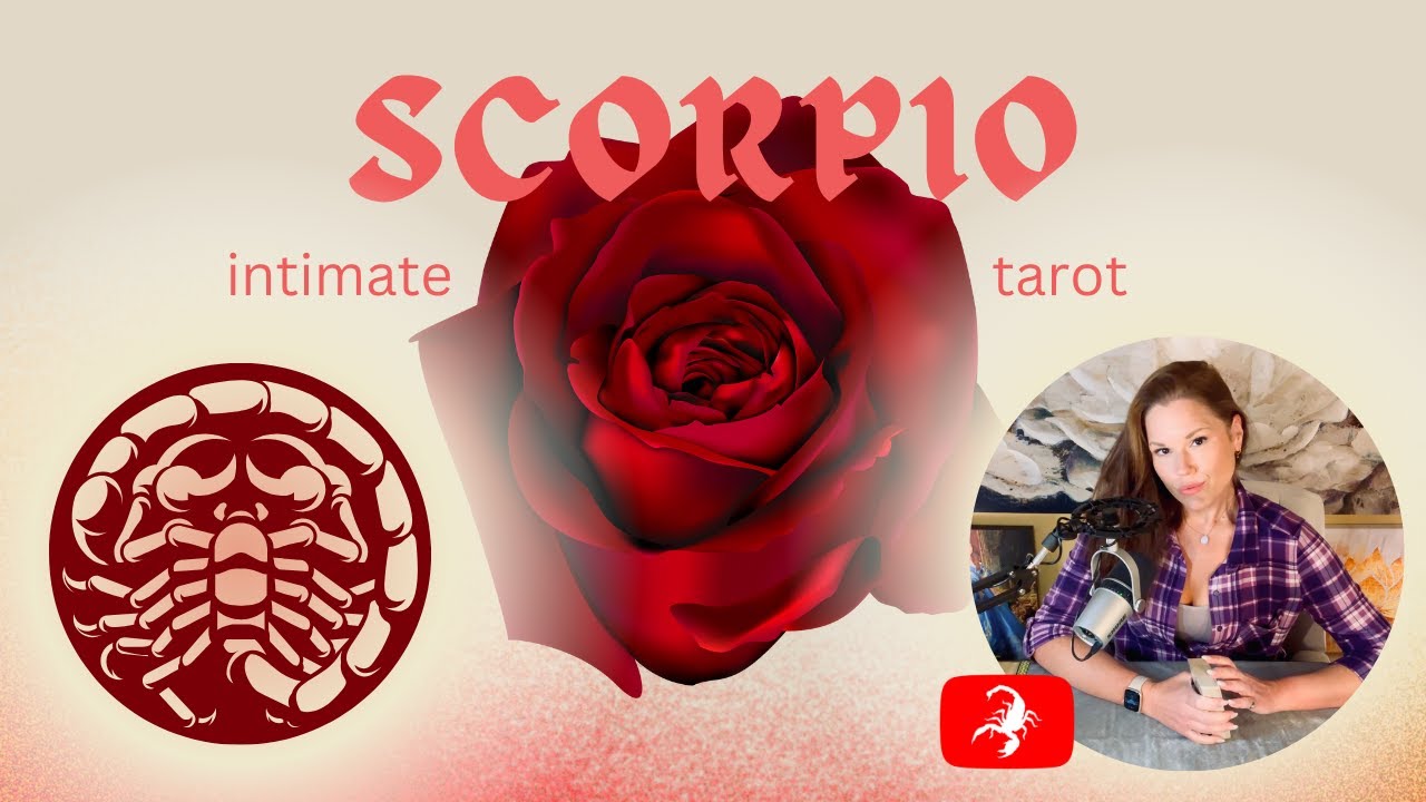 SCORPIO | A Just-Started Connection & A Practical Alliance ??? | Intimate Tarot ❤️‍🔥 | February 2024