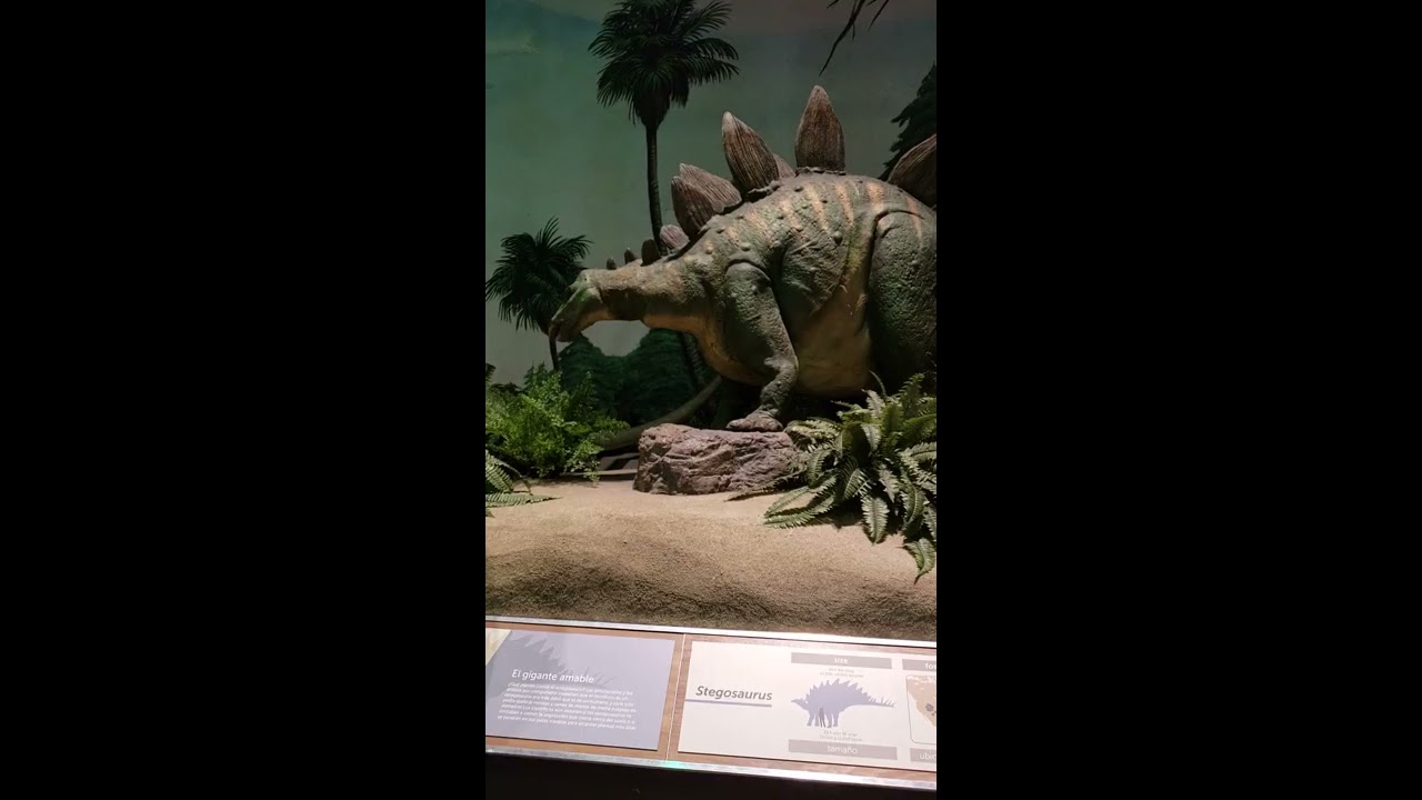Dinosaurs at the Pacific science center