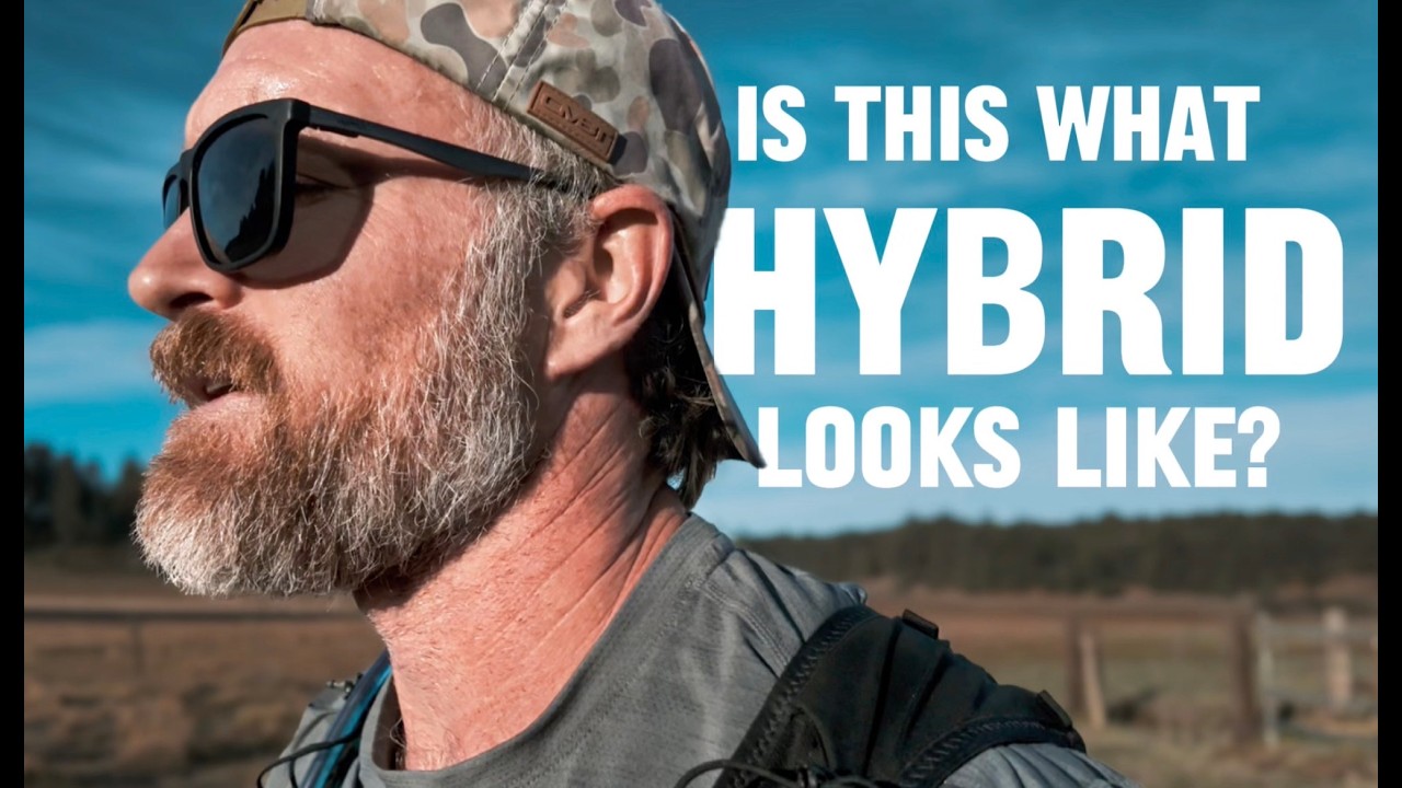 Is This What Hybrid Training Really Looks Like?