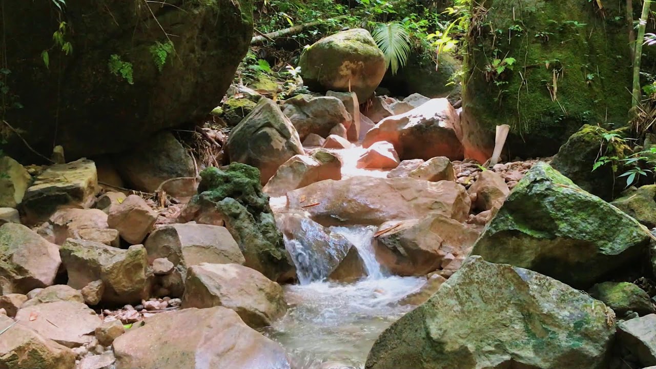 Comforting Waterfall ASMR | For Stress Relief, Self-Care & Focus