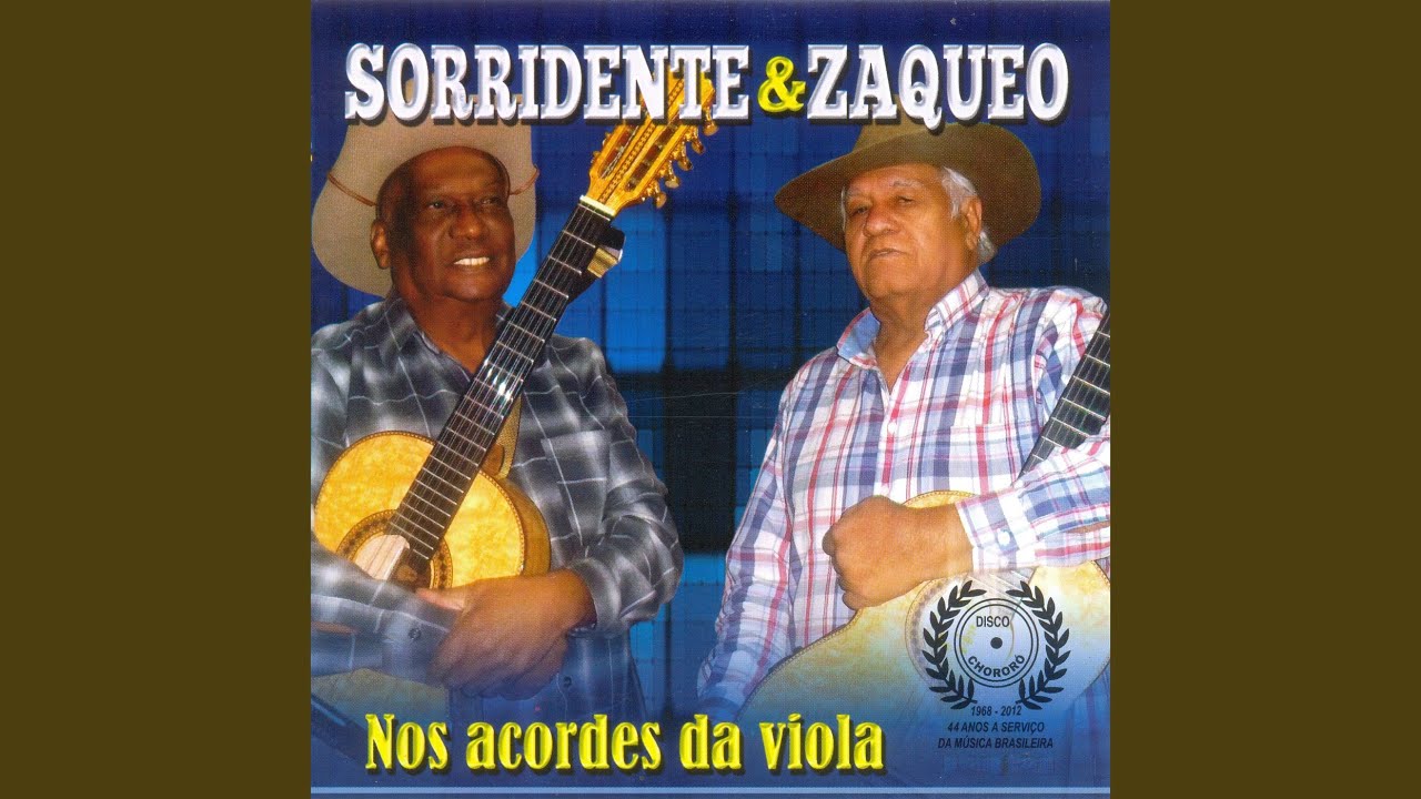 Golpe da Vida