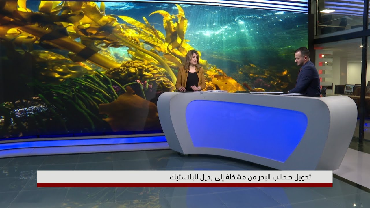 تحويل طحالب البحر من مشكلة إلى بديل للبلاستيك