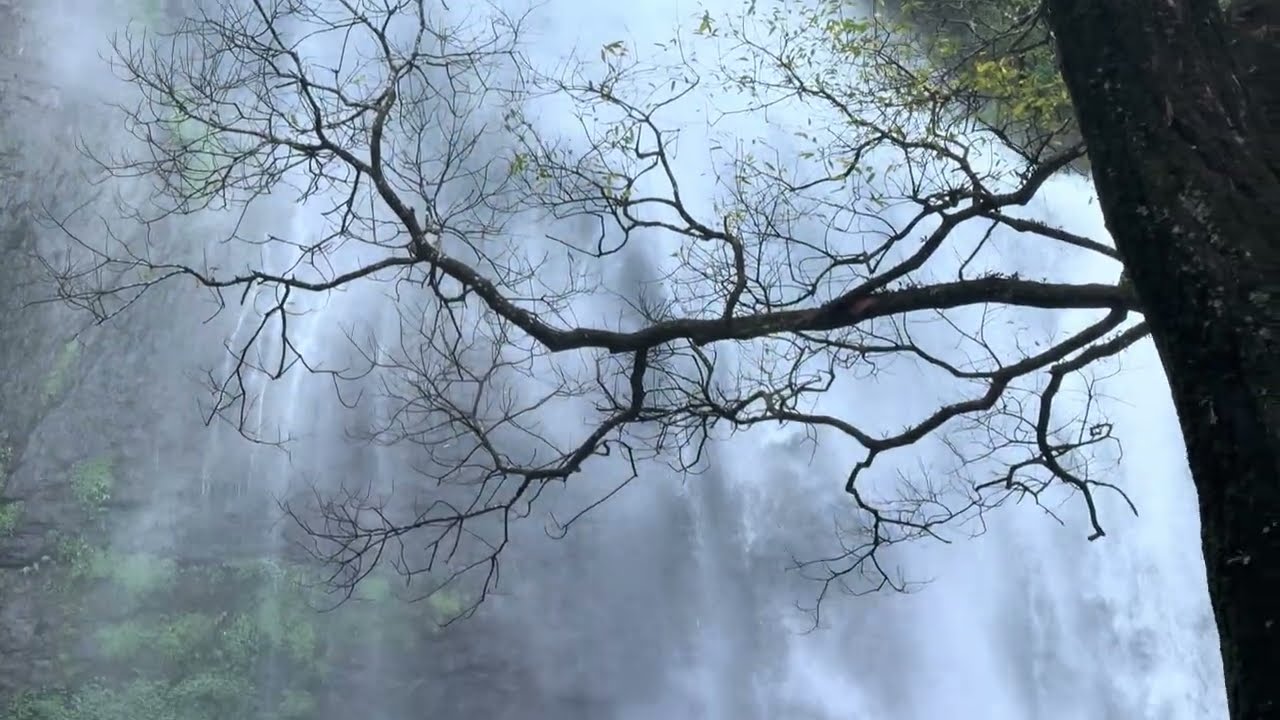 Kookal falls Trek in Kodaikanal | Kookal Village