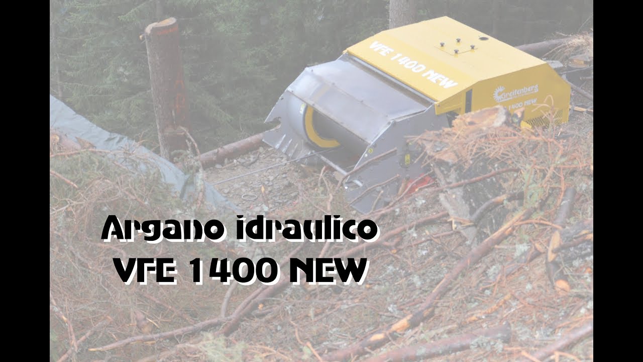 Esbosco con argano forestale