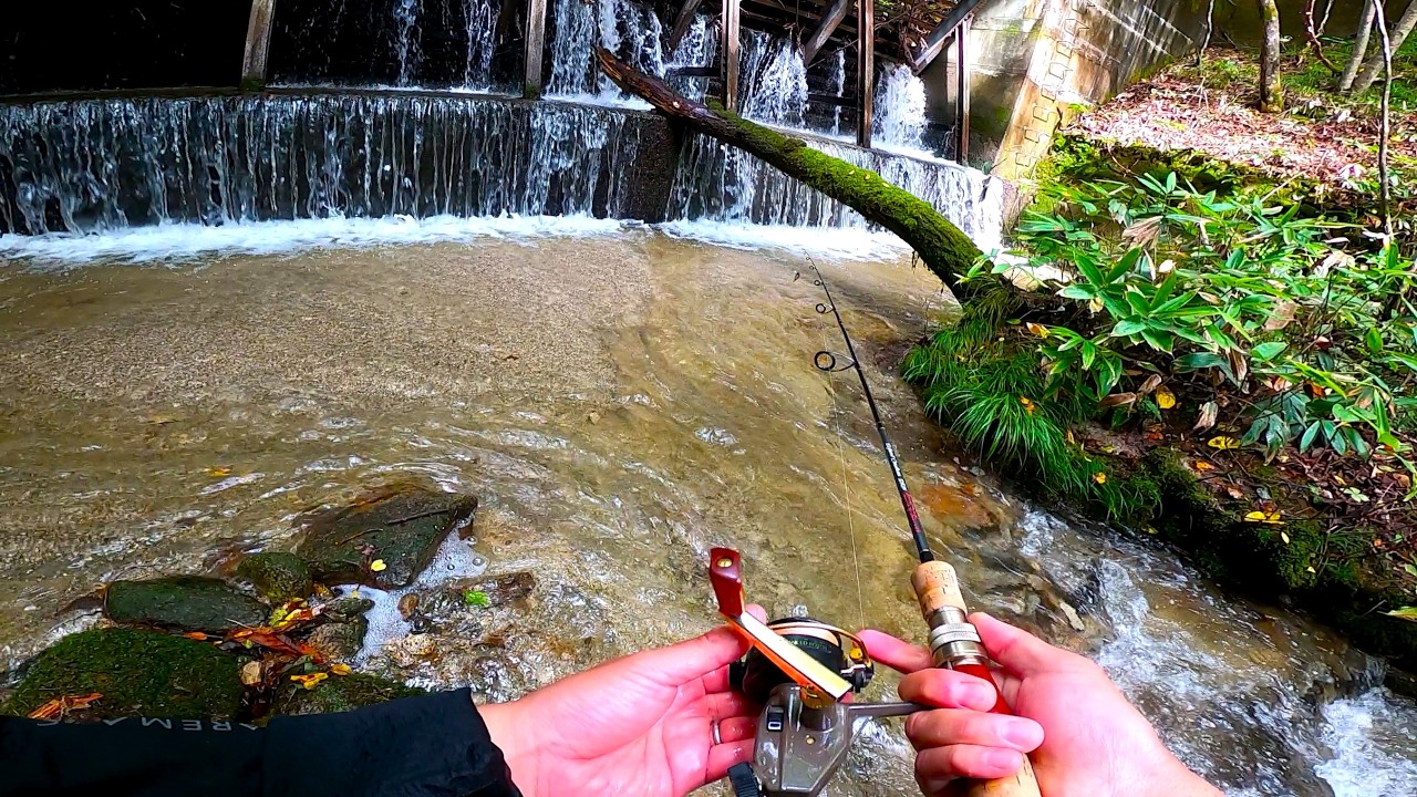 【渓流ルアー】山奥の砂防ダムに、大きい魚がいました。