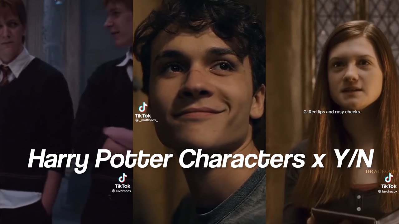 Harry Potter Characters x Y/N TikTok POV