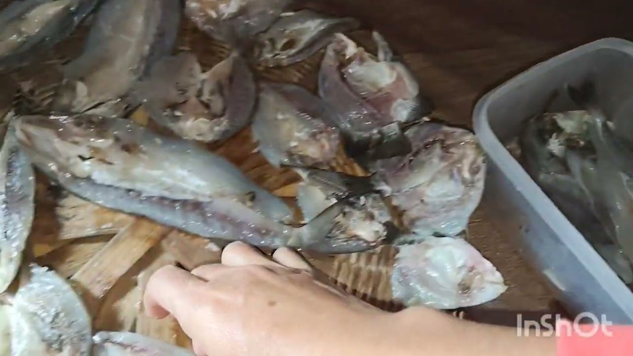 MARAMING ISDA GINAWA KUNG TUYO.