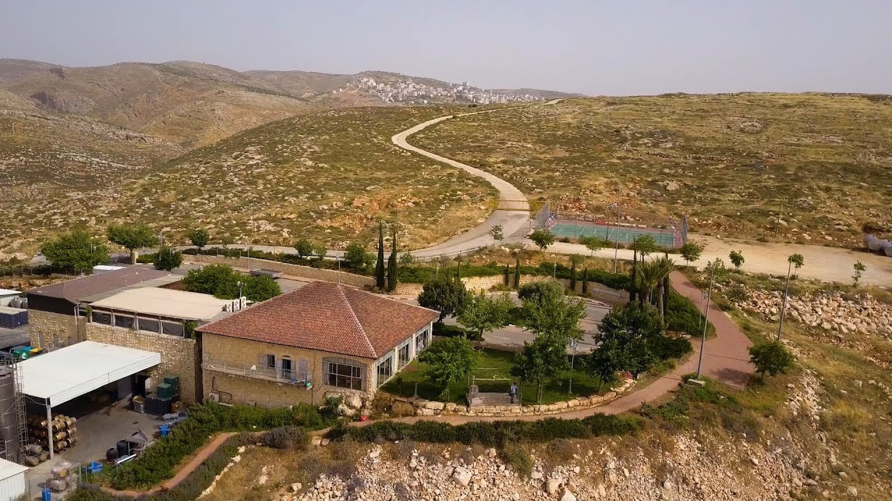 El Vigilante E10: La Bodega Psagot y el Renacimiento de los Antiguos Viñedos de Israel