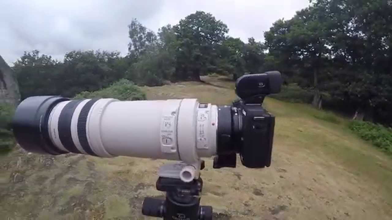 Canon EOS M3 Review
