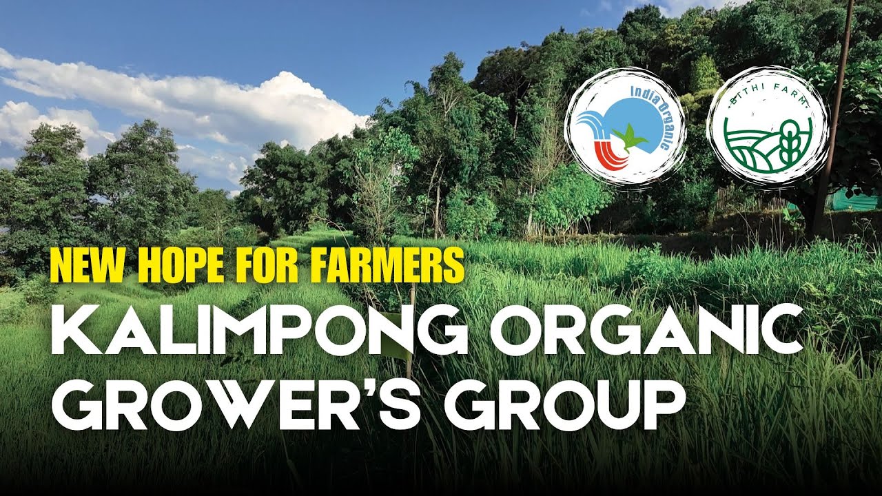 Kalimpong Grower's Group | Bithi Farm | Organic Certification | 2025