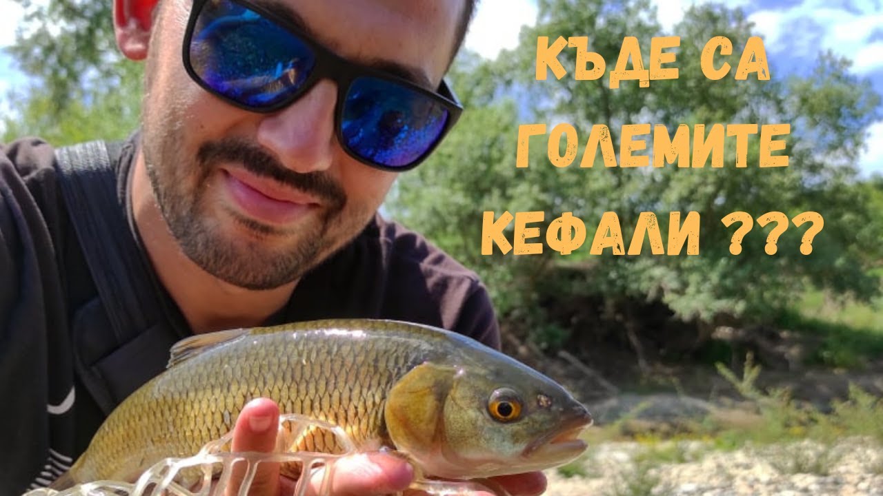 Първи риболов след забраната :) КЪДЕ СА СЕ ПОКРИЛИ ГОЛЕМИТЕ КЕФАЛИ НА РЕКА ВЪРБИЦА ???