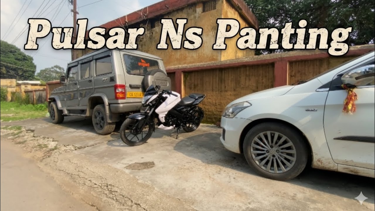 Pulsar NS restore and painting | Ns125 | Ns160 | Ns200 |