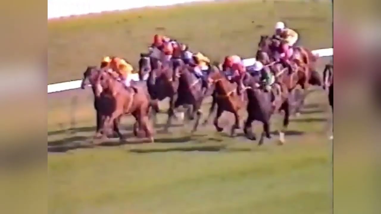 1988 ATC RANDWICK Metropolitan Handicap