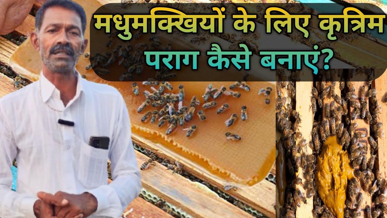 मधुमक्खियों के लिए कृत्रिम पराग कैसे बनाएं?