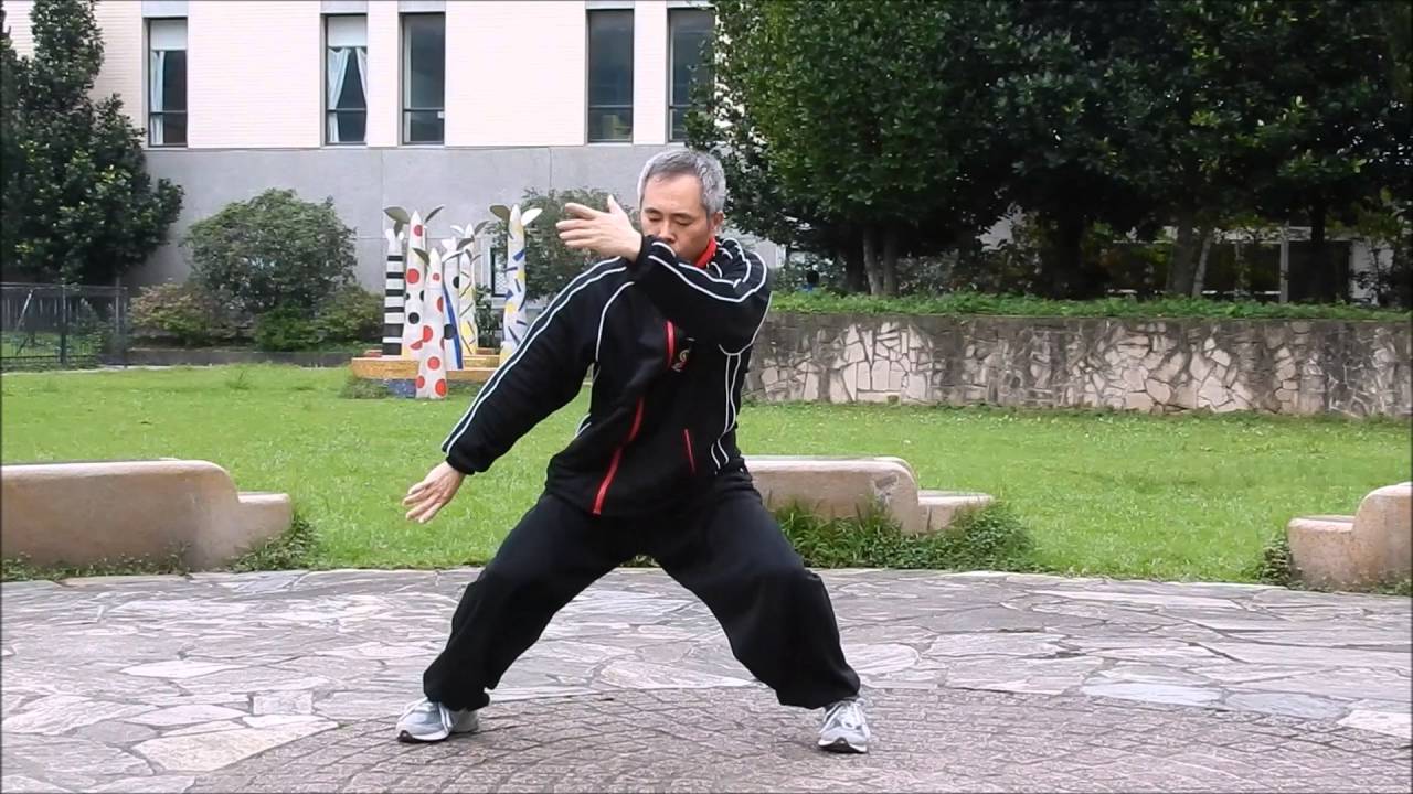 錦園八卦掌-楊氏太極拳