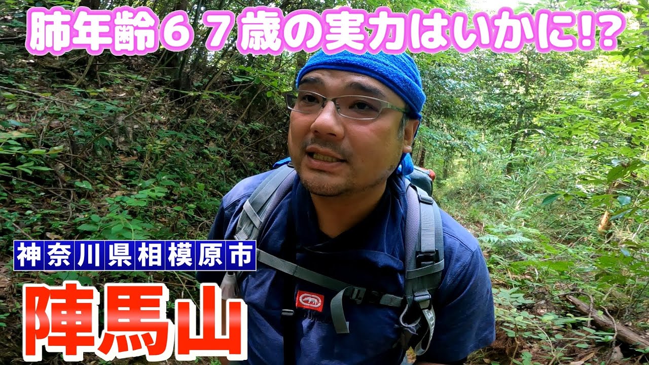【陣馬山　一ノ尾尾根】を解説。