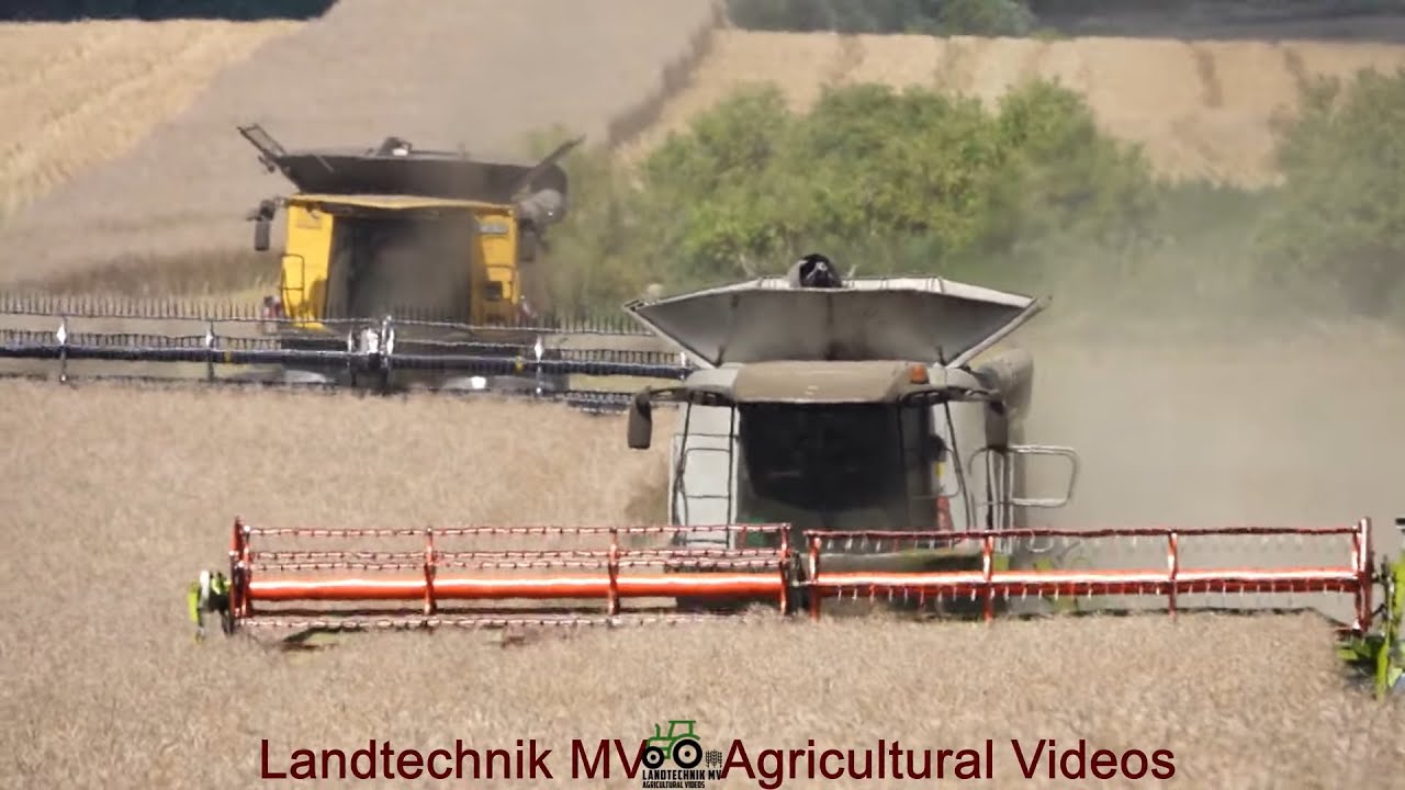 New Holland - Claas - Fendt - John Deere / Rapsernte - Rapeseed Harvest