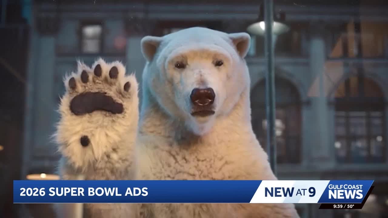 Advertising expert previews Super Bowl LX ads