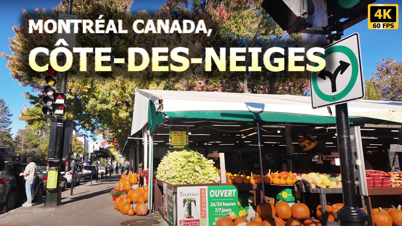 Walking Tour Montreal's multicultural Chemin de la Côte-des-Neiges/Balade Chemin Côte-des-Neiges