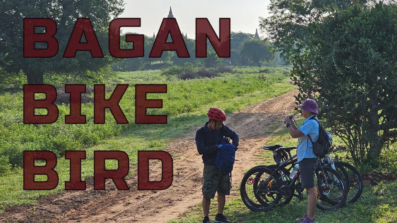 Come with us and explore Bagans temples, pagodas and birds by bike.