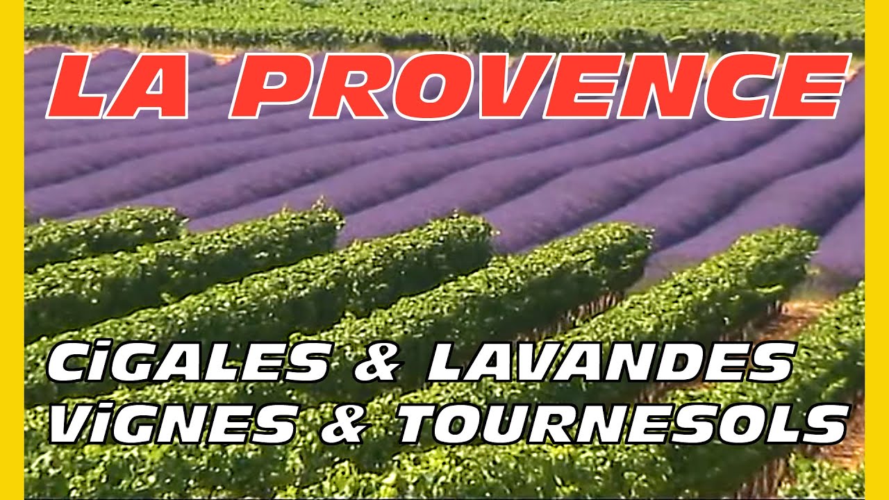 05 - PROVENCE : Cigales, Lavandes, Vignes et Tournesols