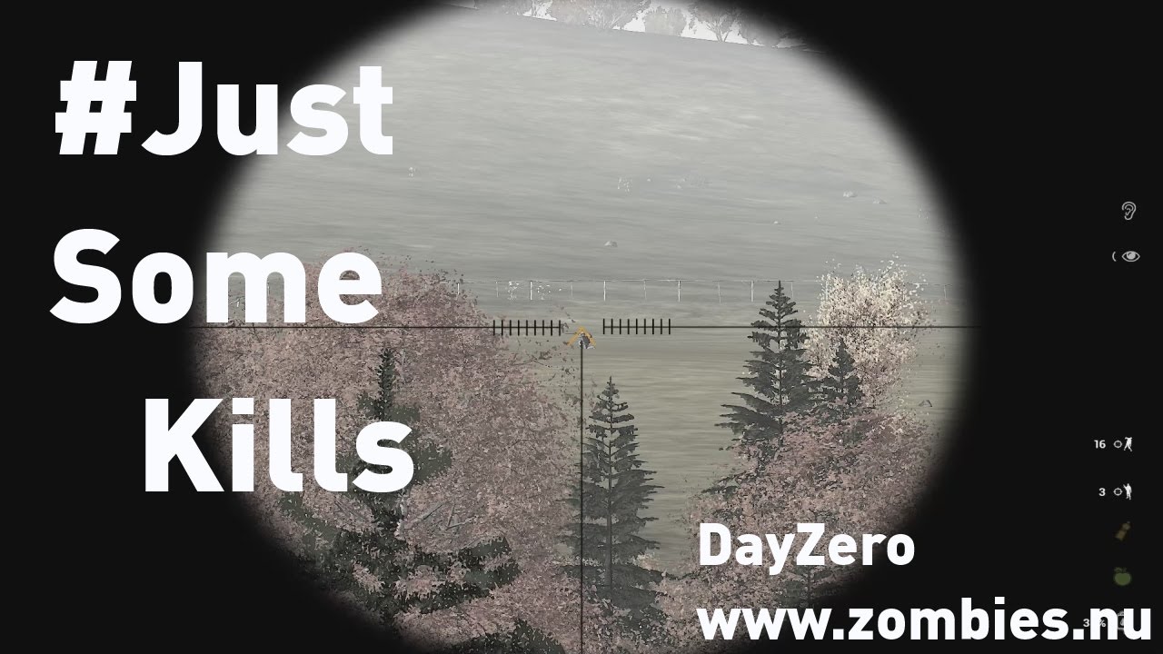 DayZero #JustSomeKills