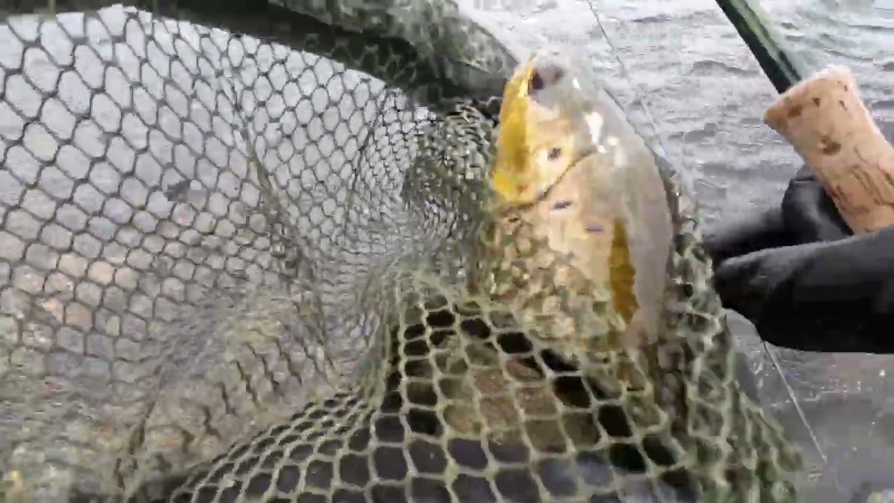 Fishing Loch Obisary North Uist June 2024