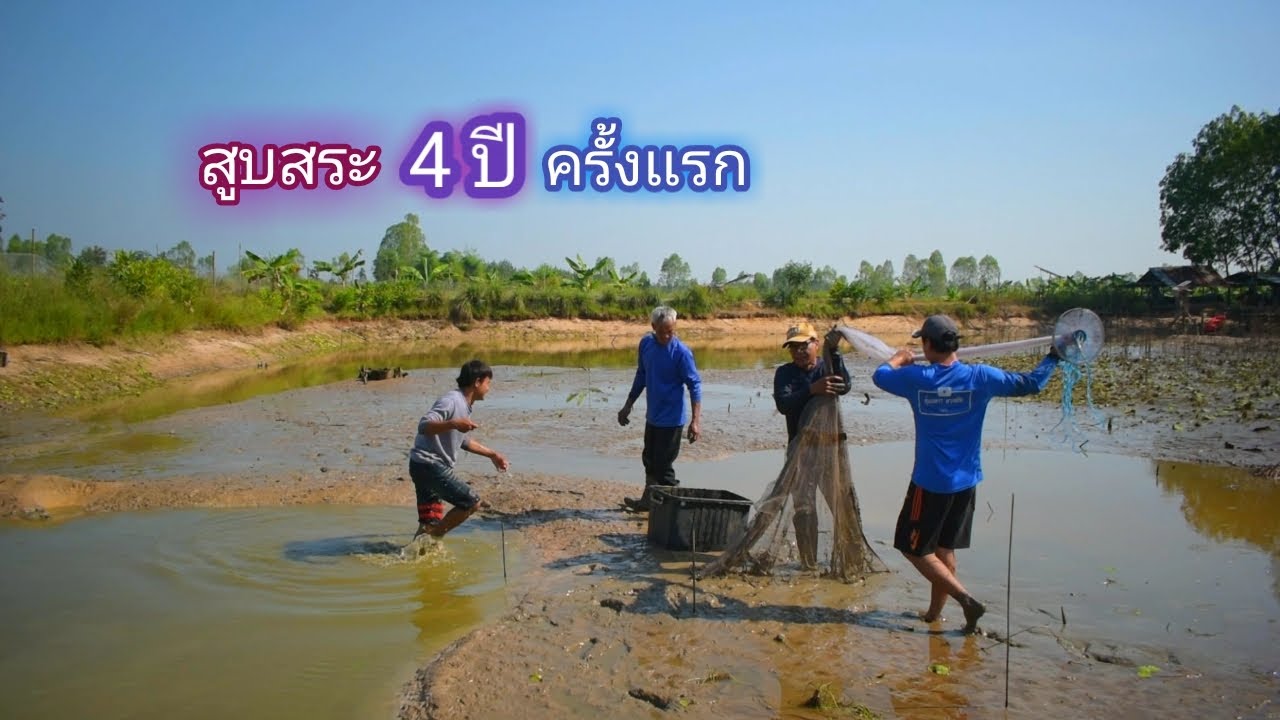 สูบสระ 4 ปี ครั้งเเรกตั้งเเต่ขุดมา กินข้าวป่า เยี่ยมทีมงานเก่า / บ้านนอก EP.538