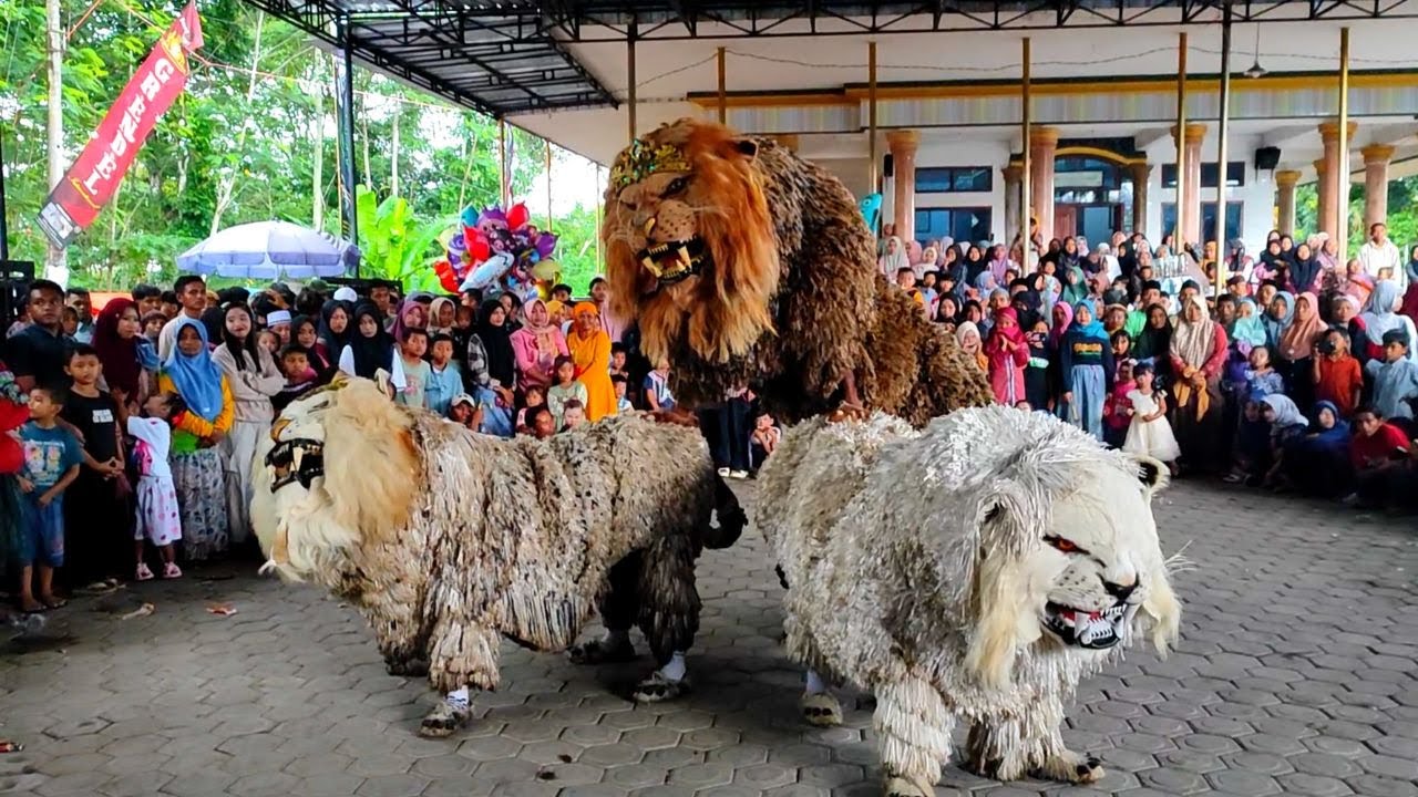 🔴LIVE | atraksi salto can macanan cantik singo raung di undang acara imtihanan